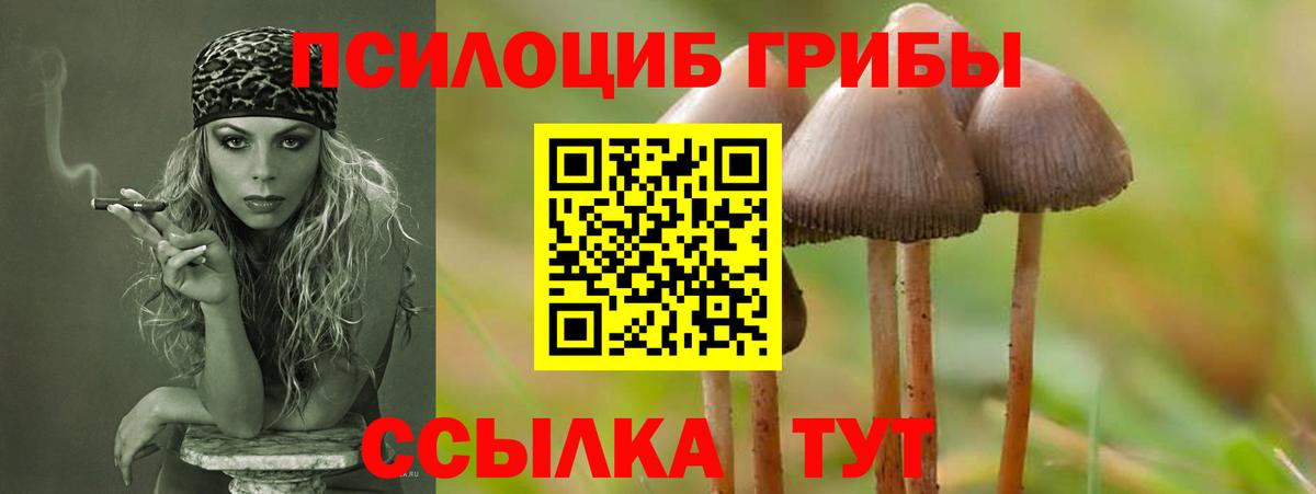 Псилоцибиновые грибы мухоморы Курск